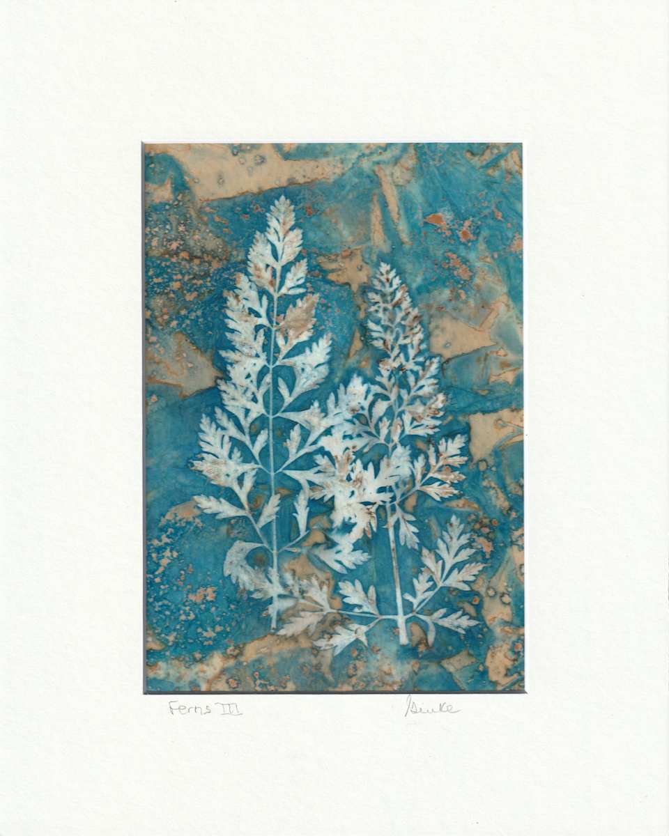 Ferns III by Vera Gierke, Image 1.