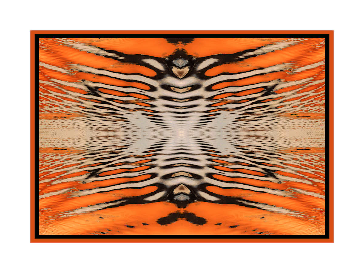 Butterfly by Vera Gierke 