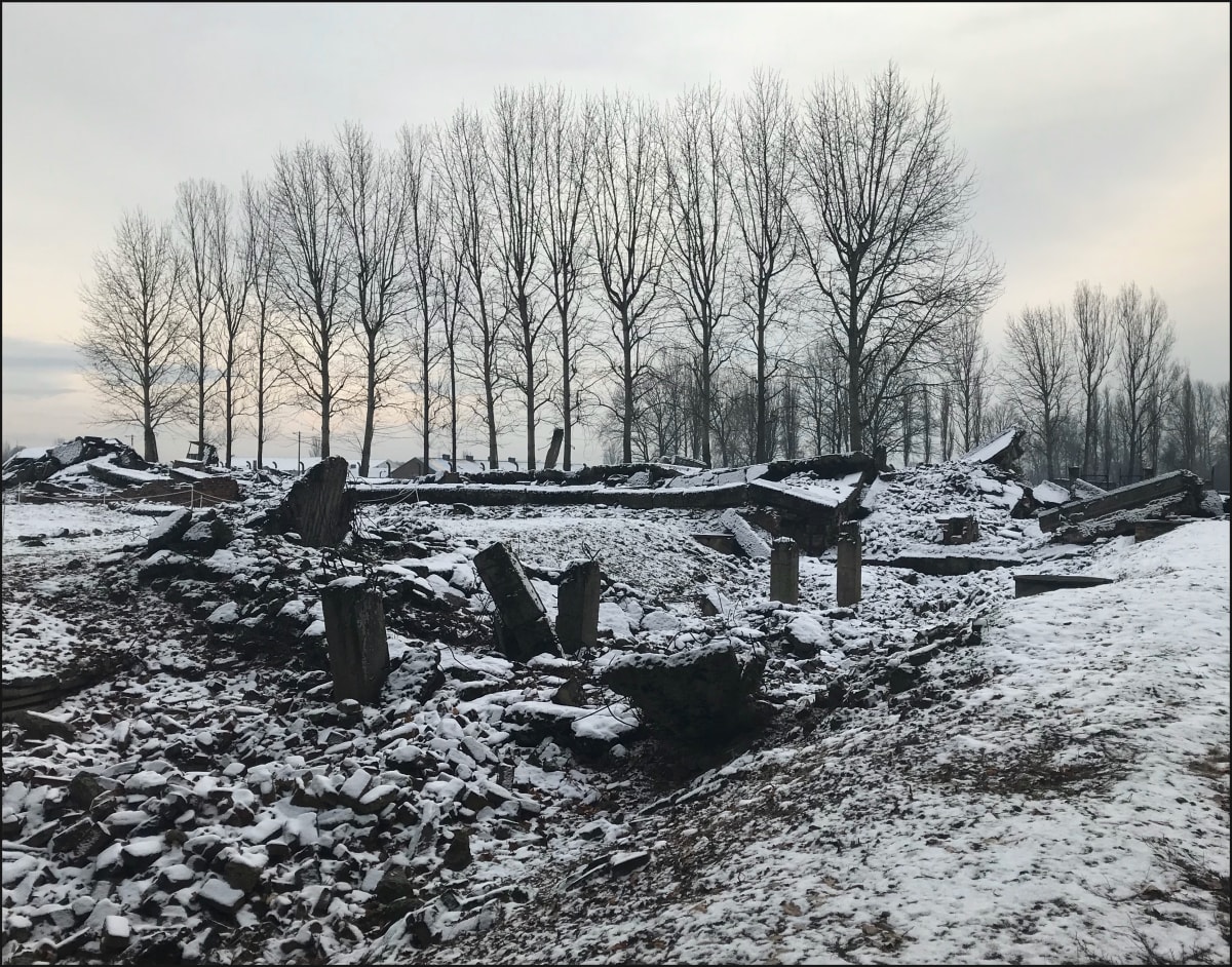 Lest We Forget, Or Deny by Vera Gierke 