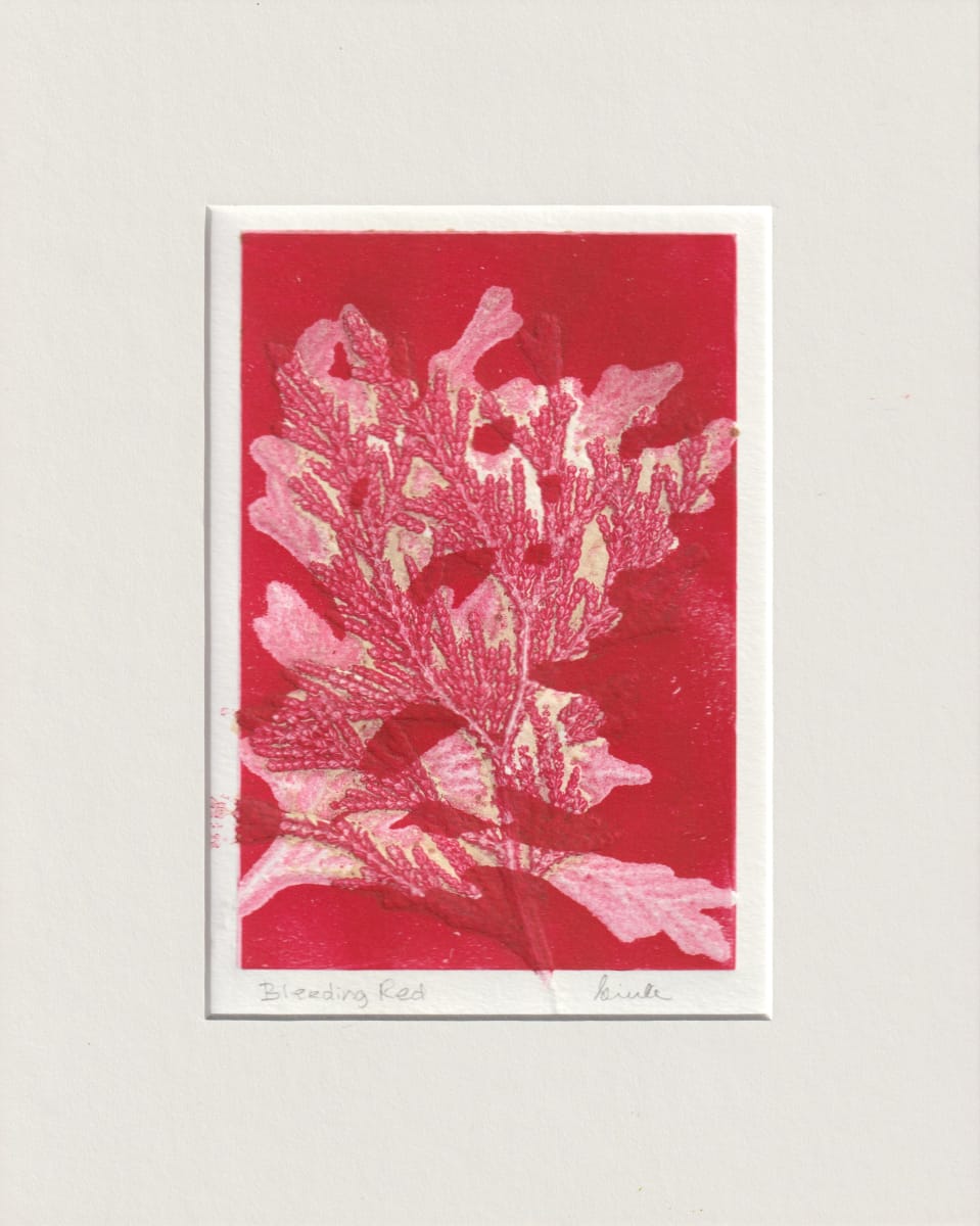 Bleeding Red by Vera Gierke 