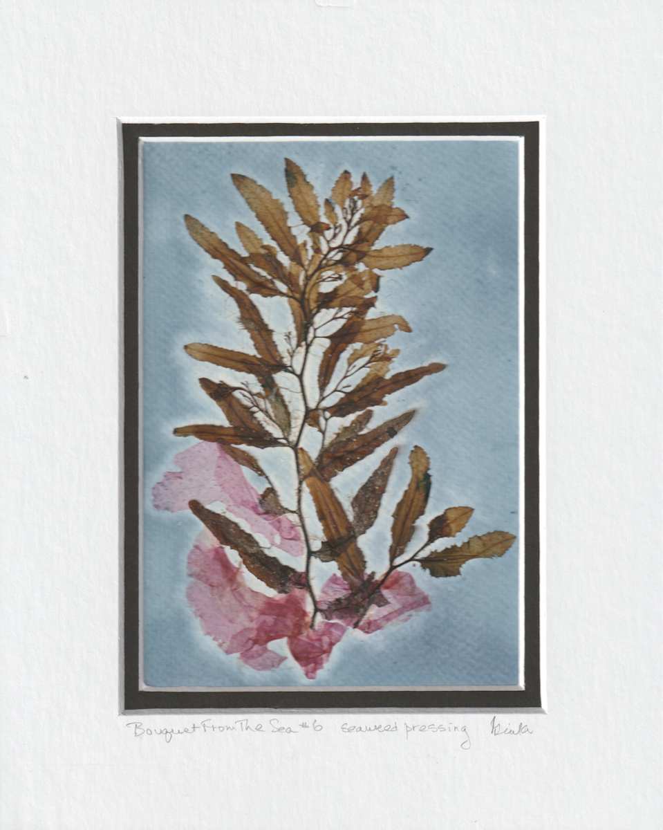 Bouguet From The Sea #6 by Vera Gierke  Image: Bouquet From The Sea #6