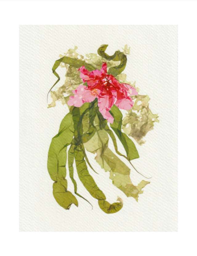 Christmas Card 2024 by Vera Gierke 