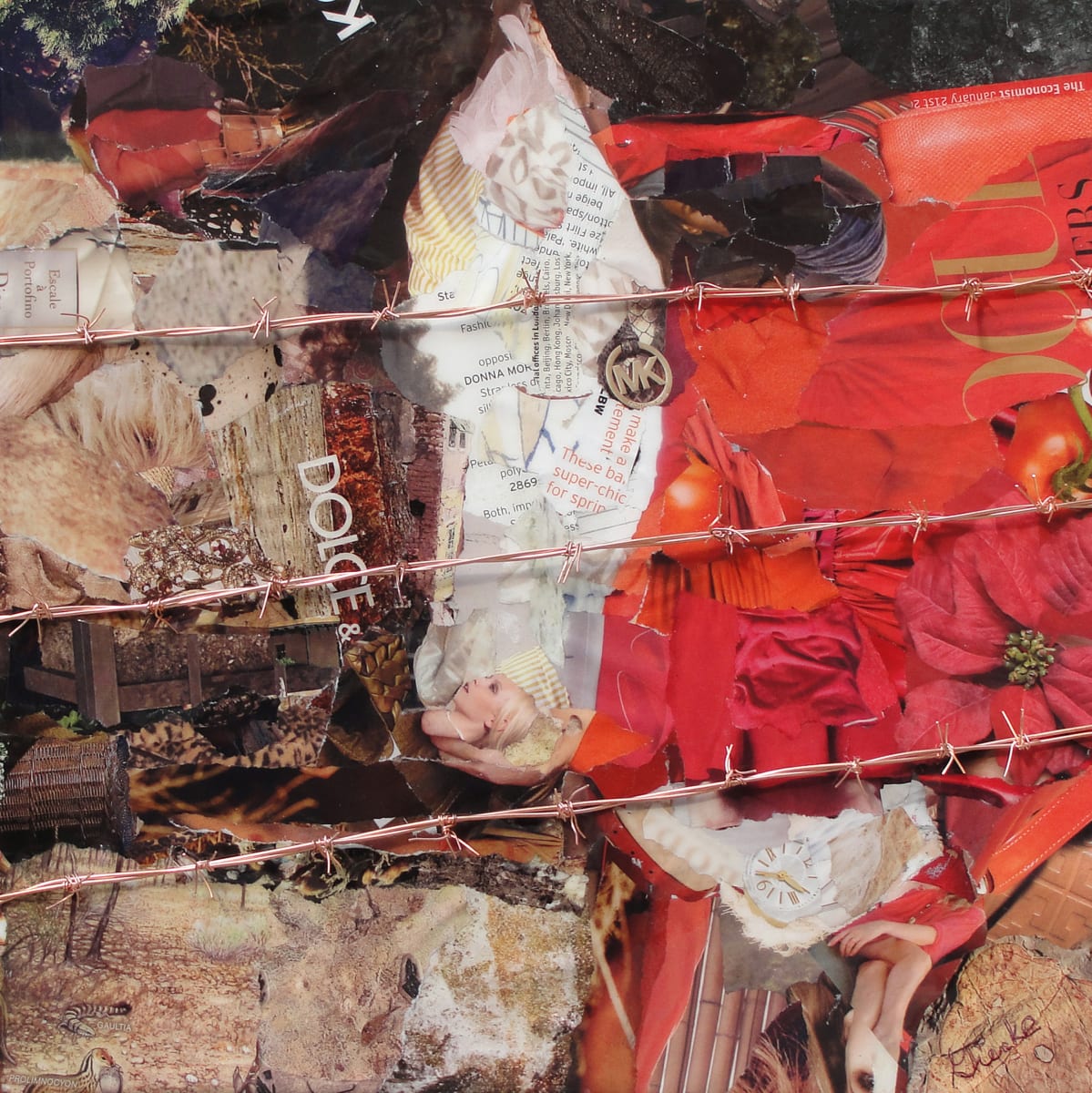 Cow Behind Barbed Wire by Vera Gierke, Image 1.