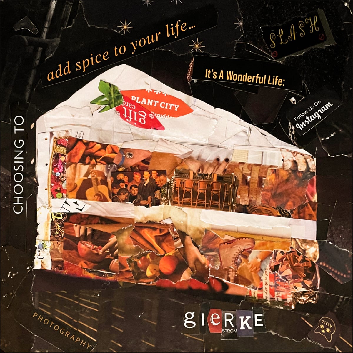 Carrots, Cake Style by Vera Gierke 