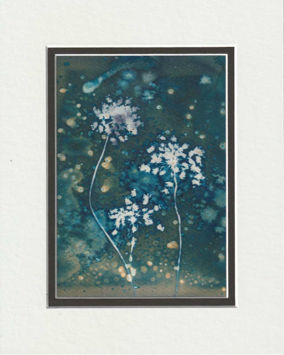 Sparkling by Vera Gierke 