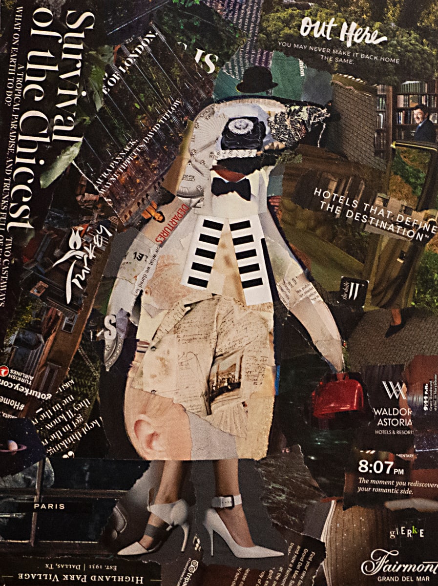 Percival the Penguin by Vera Gierke, Image 1.