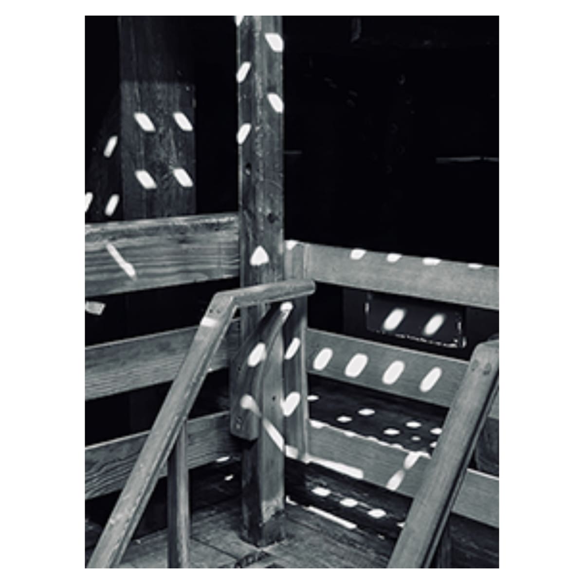 Seeing Spots, Image 1.