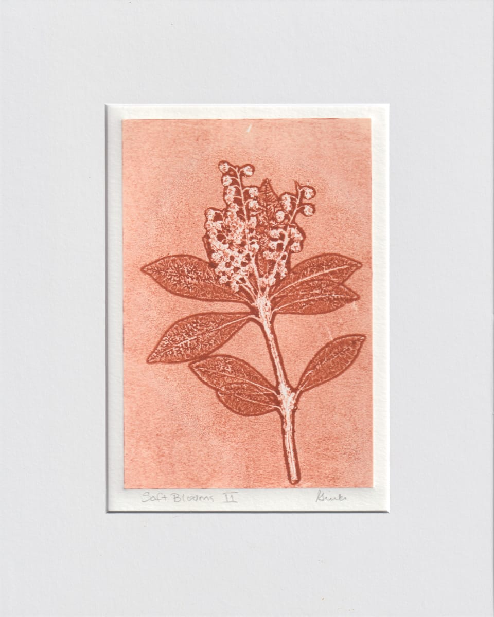 Soft Blooms II by Vera Gierke 