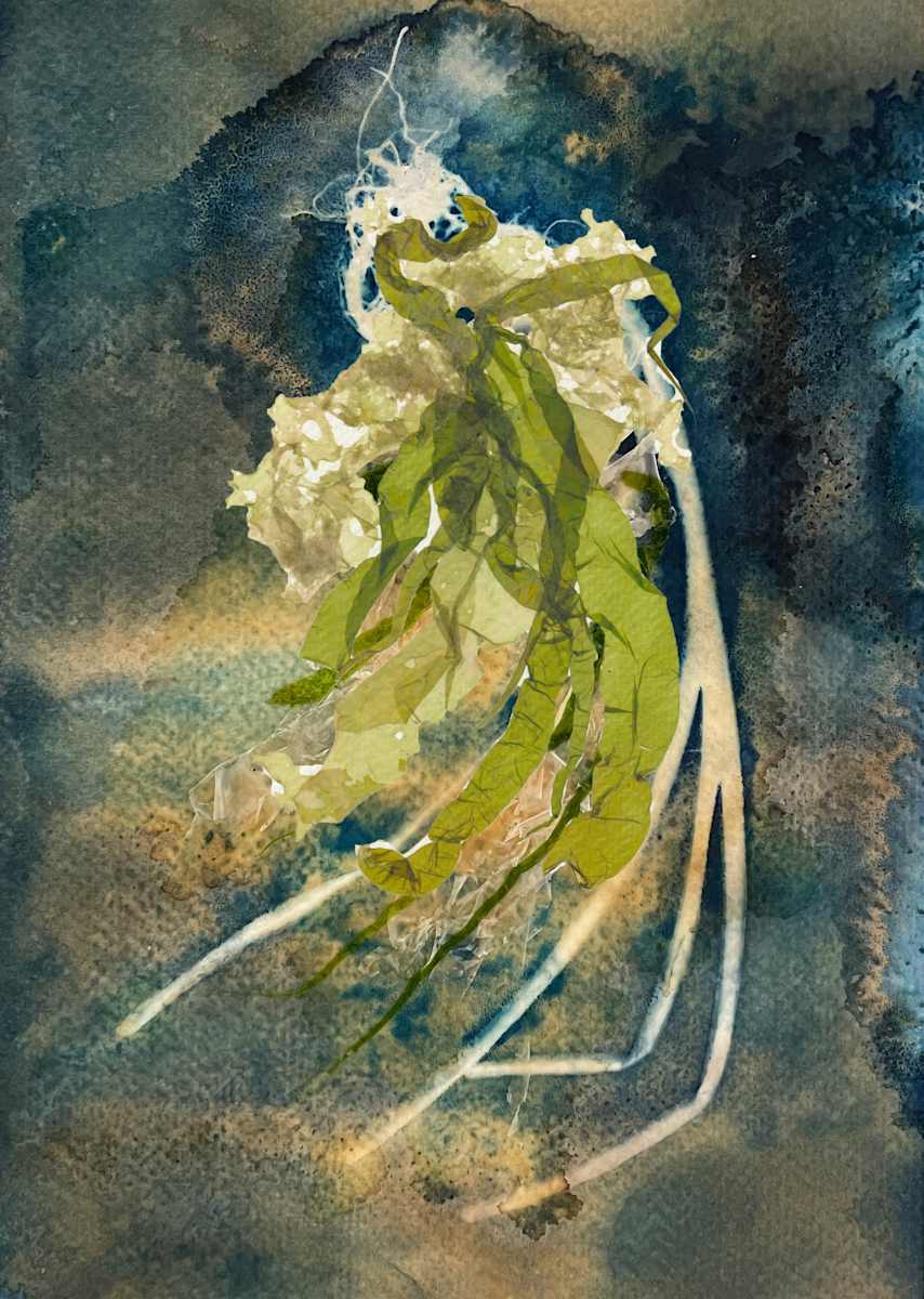 Seaweed on Seaweed by Vera Gierke 