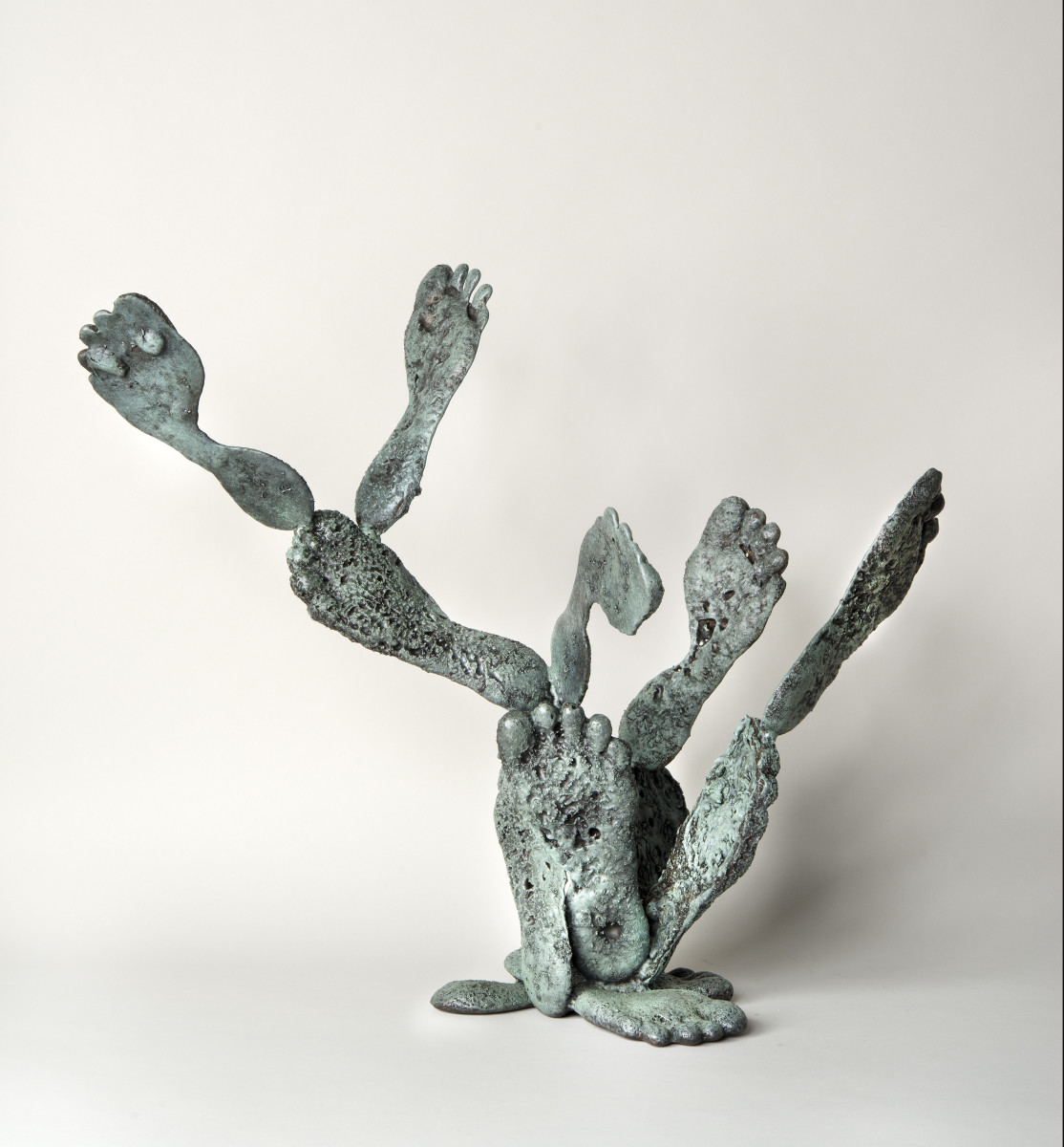 Plantar Opuntia by Gina Michaels 