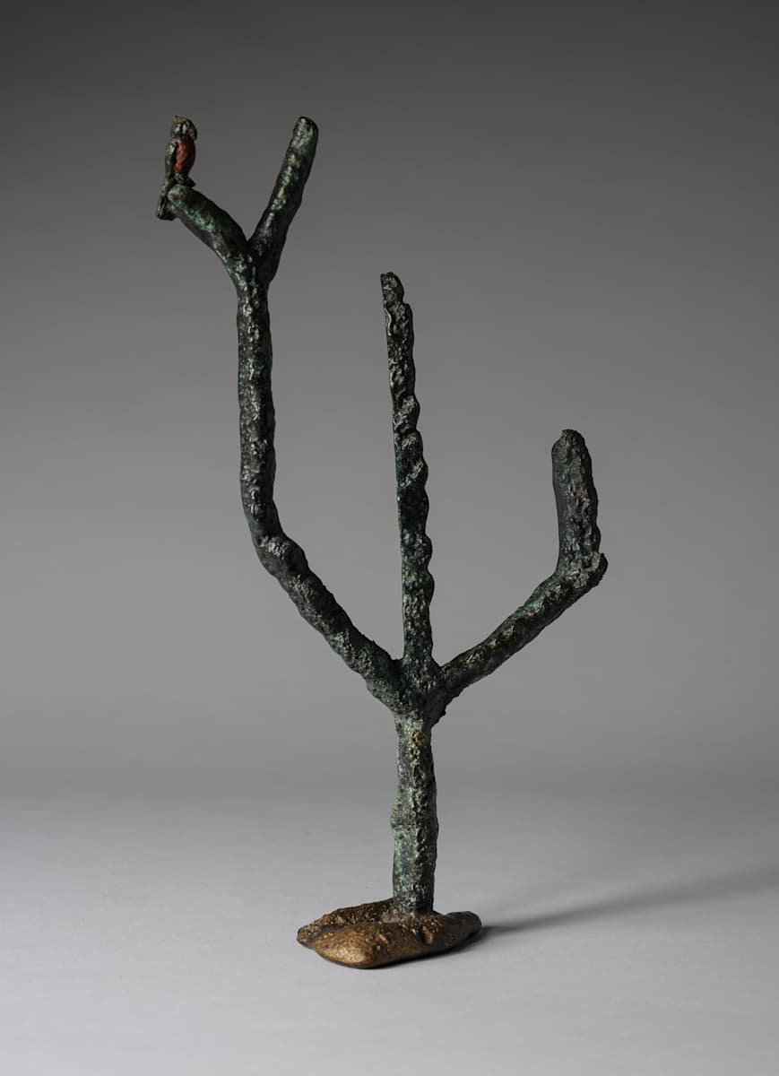 Avis Cactum by Gina Michaels, Image 1.