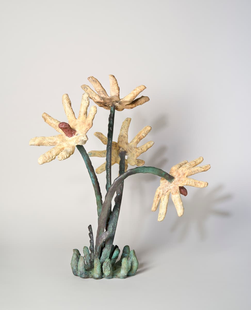 Oxeye Digitorum by Gina Michaels 