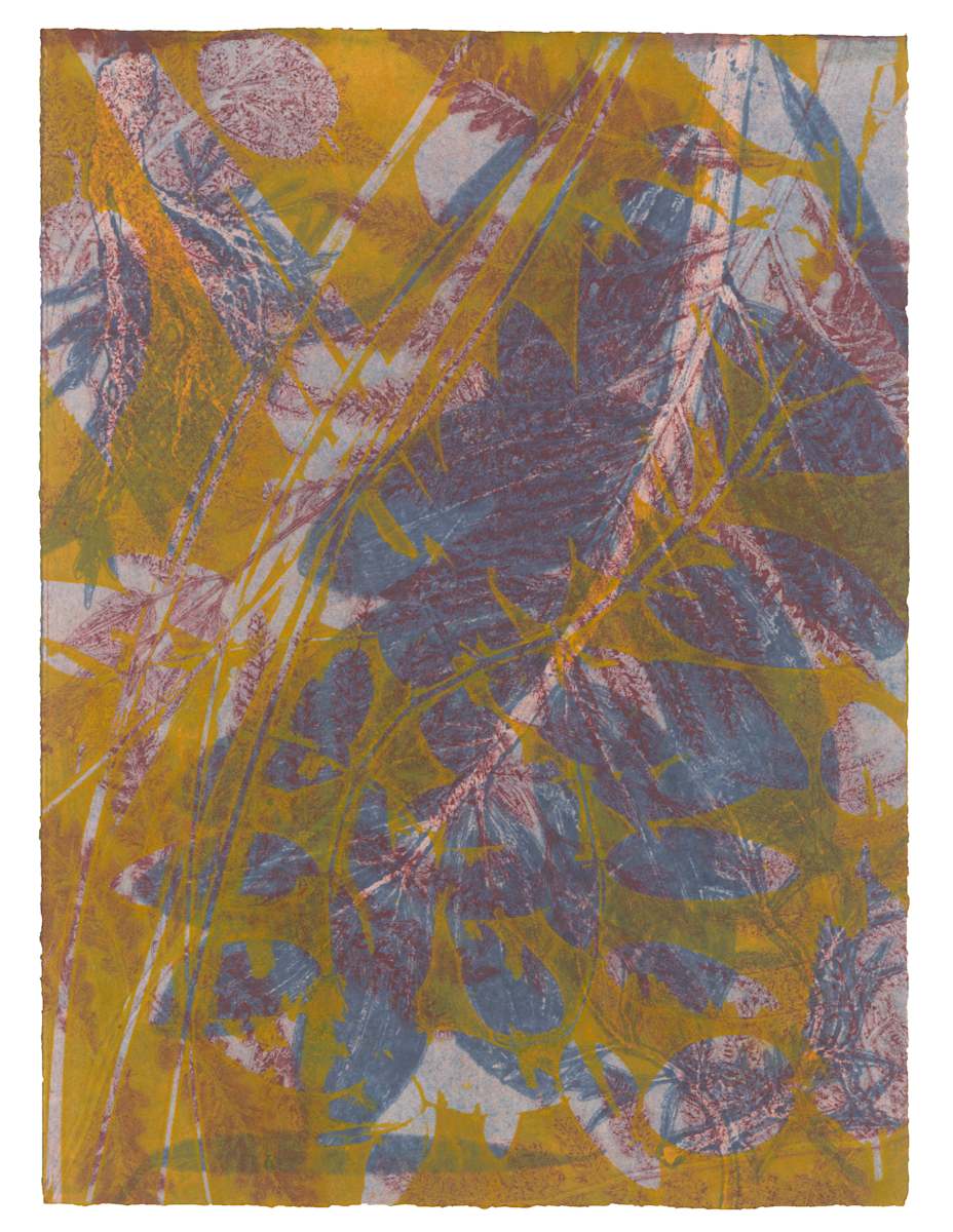 Tara 85 by Gina Michaels, Image 1.