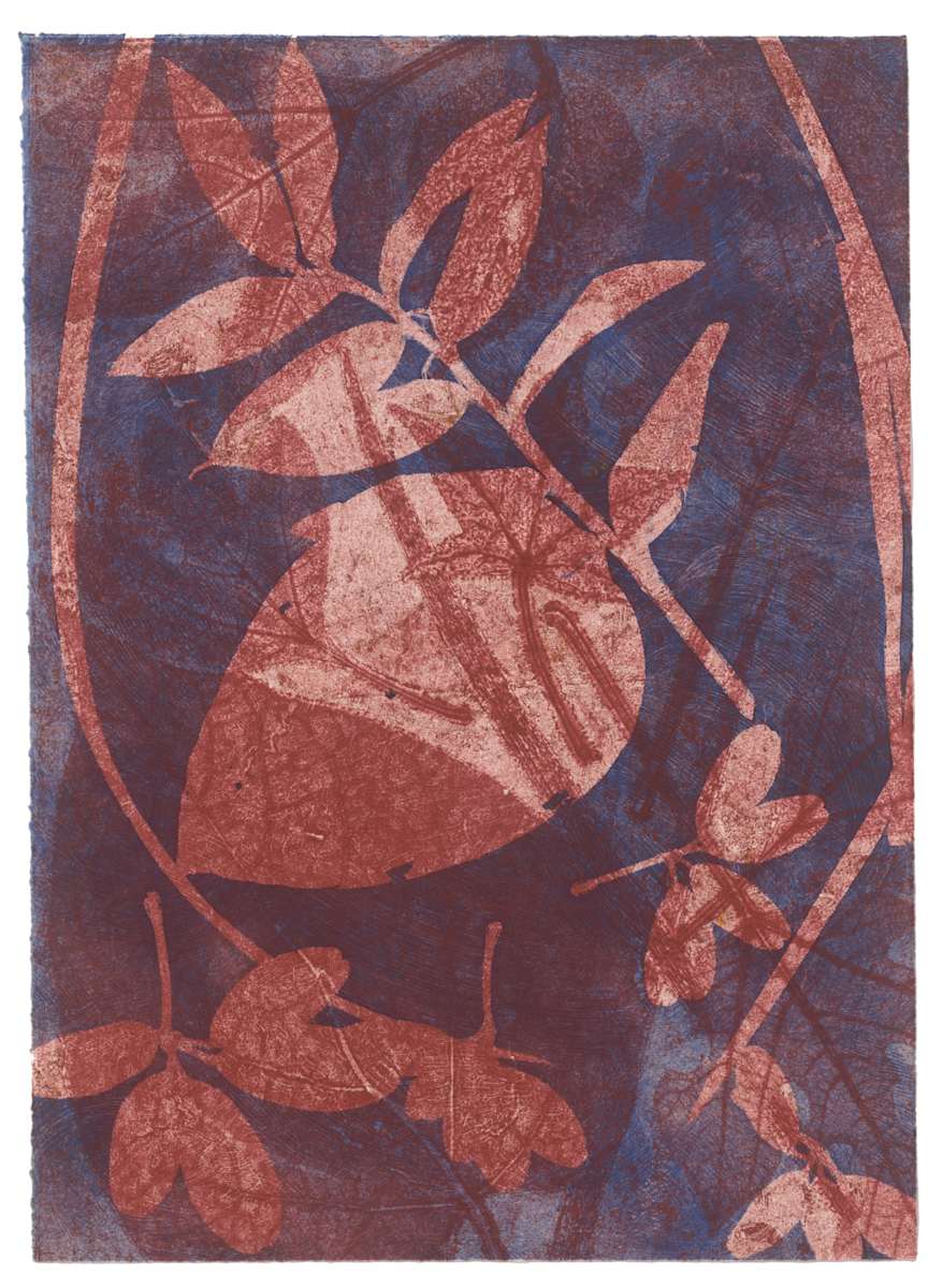 Tara 89 by Gina Michaels, Image 2.