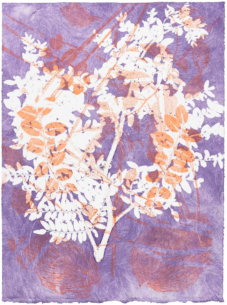 Tara 71 by Gina Michaels , Image 1.