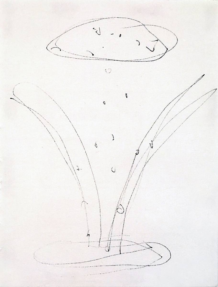 Cosmos by Hannah Luxton, Image 2.