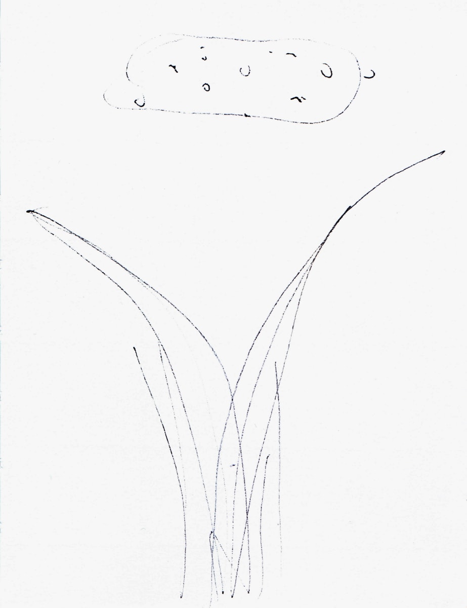 Cosmos, II by Hannah Luxton, Image 1.