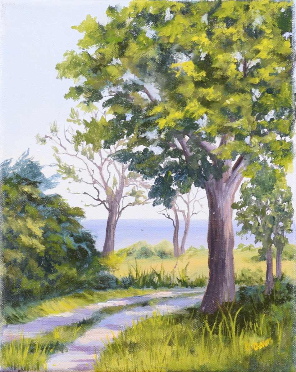 Toward the Sea by Debra Davis  Image: The trees parted. The sea waited. “Toward the Sea” is a soft invitation to follow the light and listen to the quiet