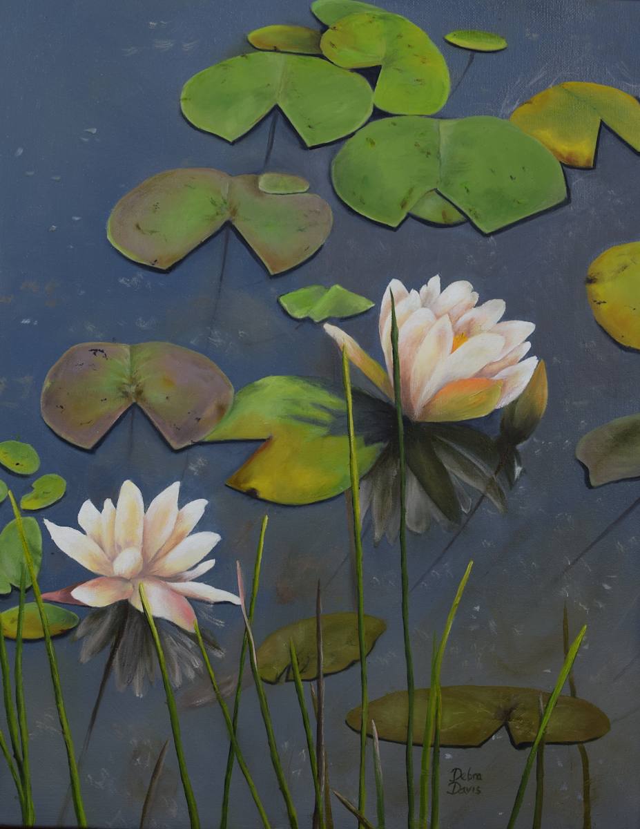 Reflections in Bloom by Debra Davis  Image: Stillness, beauty, and grace—all gently floating on a quiet pond.
This original oil painting captures the soft light and poetic elegance of waterlilies resting on blue waters. Perfect for those who love floral art, peaceful spaces, and the serenity of nature
