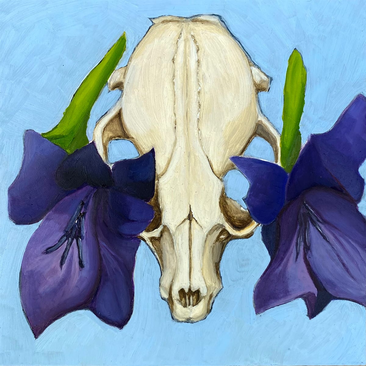 Racoon Skull, Gladiolus by Rachel Clegg  Image: 6x6 inch, oil on board