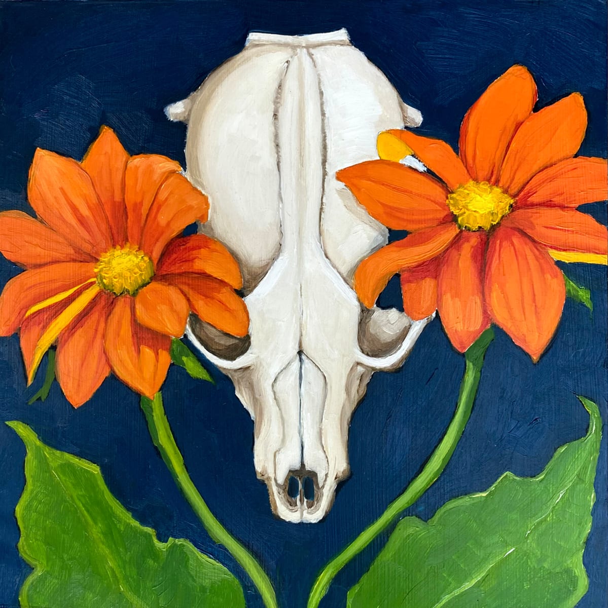 Racoon Skull, Mexican Sunflowers by Rachel Clegg  Image: 6x6 oil on board