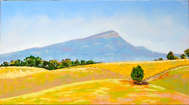 Bleached Fields, Image 1.