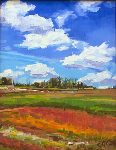 Clouds and Stubble, Image 1.