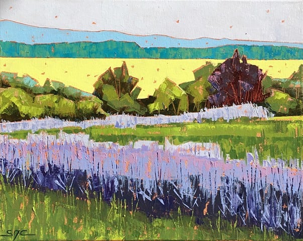 Lavender at Tantivy, Image 1.