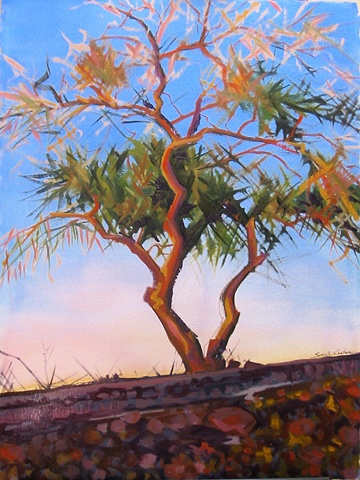 Mesquite, Image 1.