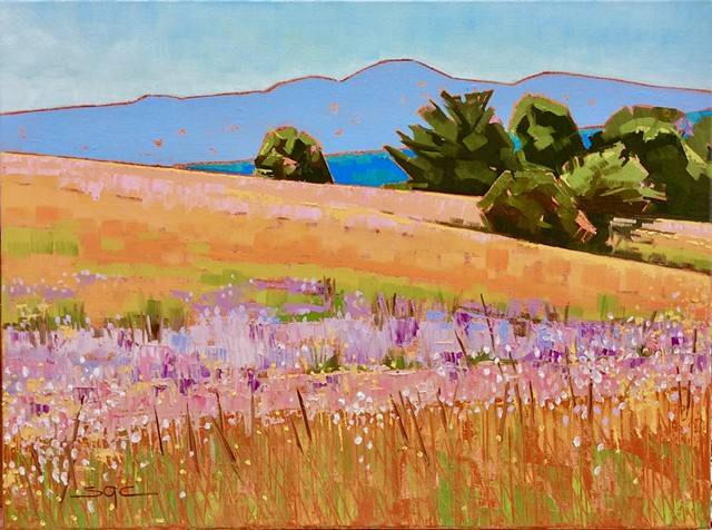 Mountain Meadow, Image 1.