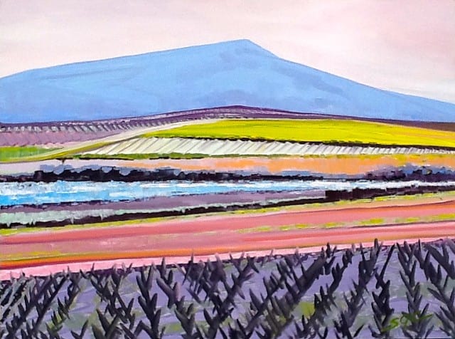 Vineyard Variations, Image 1.