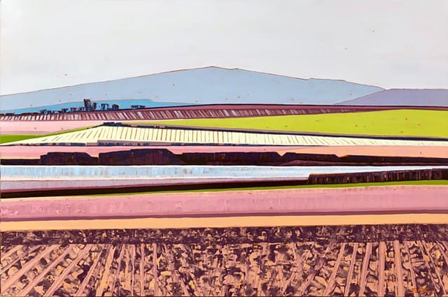 Vineyard Variations, Image 1.