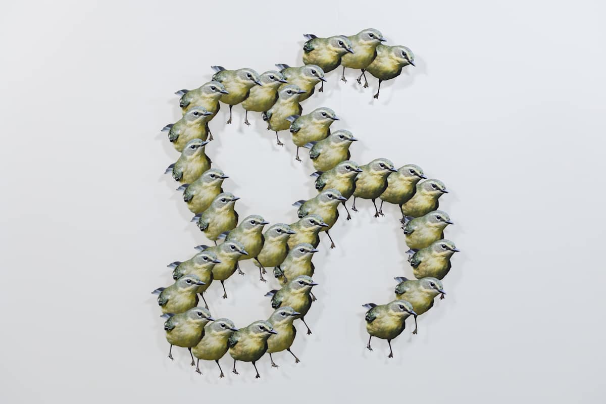 The Last One To Be Named by Zulu Padilla 