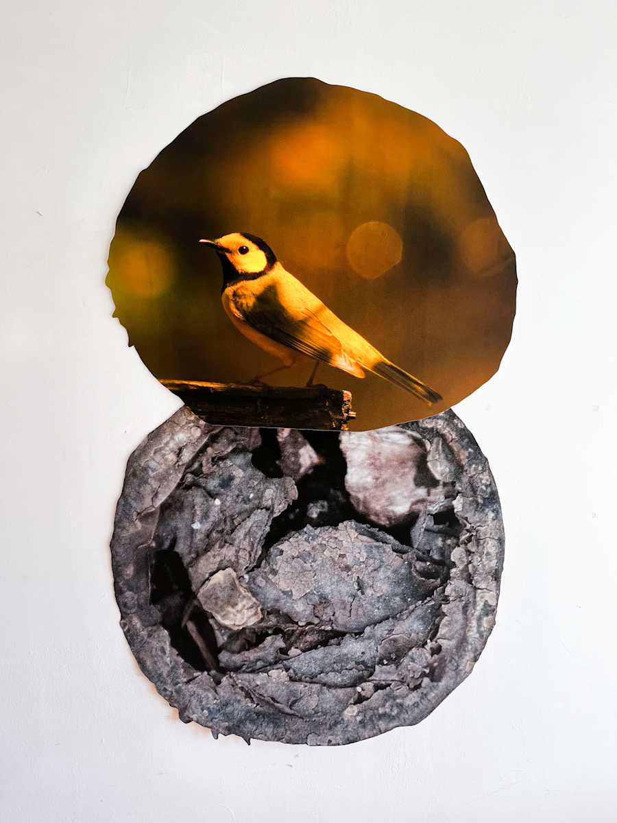 The Duality between non-duality and duality by Zulu Padilla, Image 2.