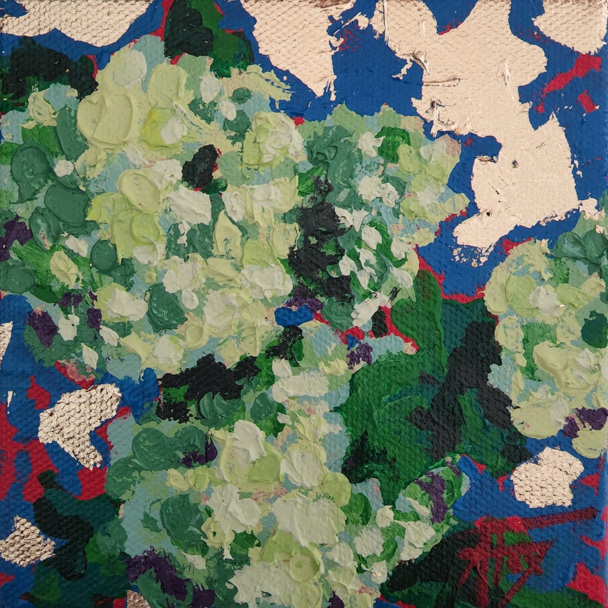 Viburnum by Allison Fox 