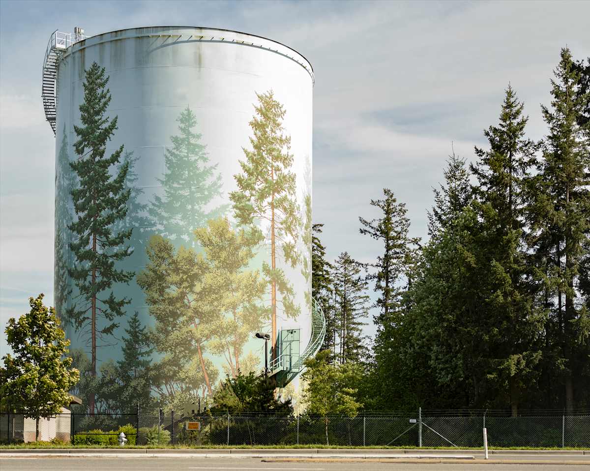 Forest Fiction, Puyallup by Kris Davidson, Image 1.