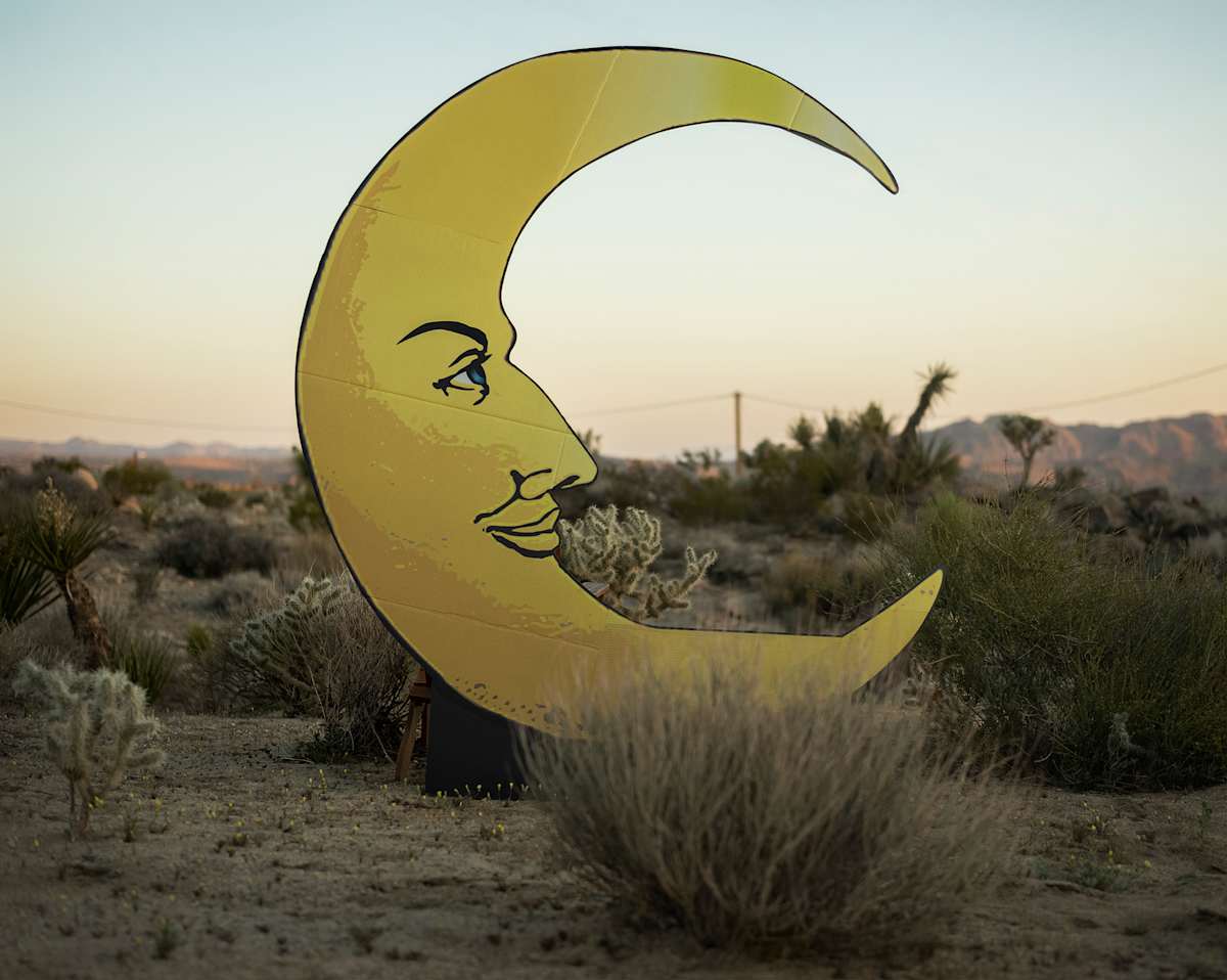 Paper Moon, Joshua Tree by Kris Davidson, Image 3.