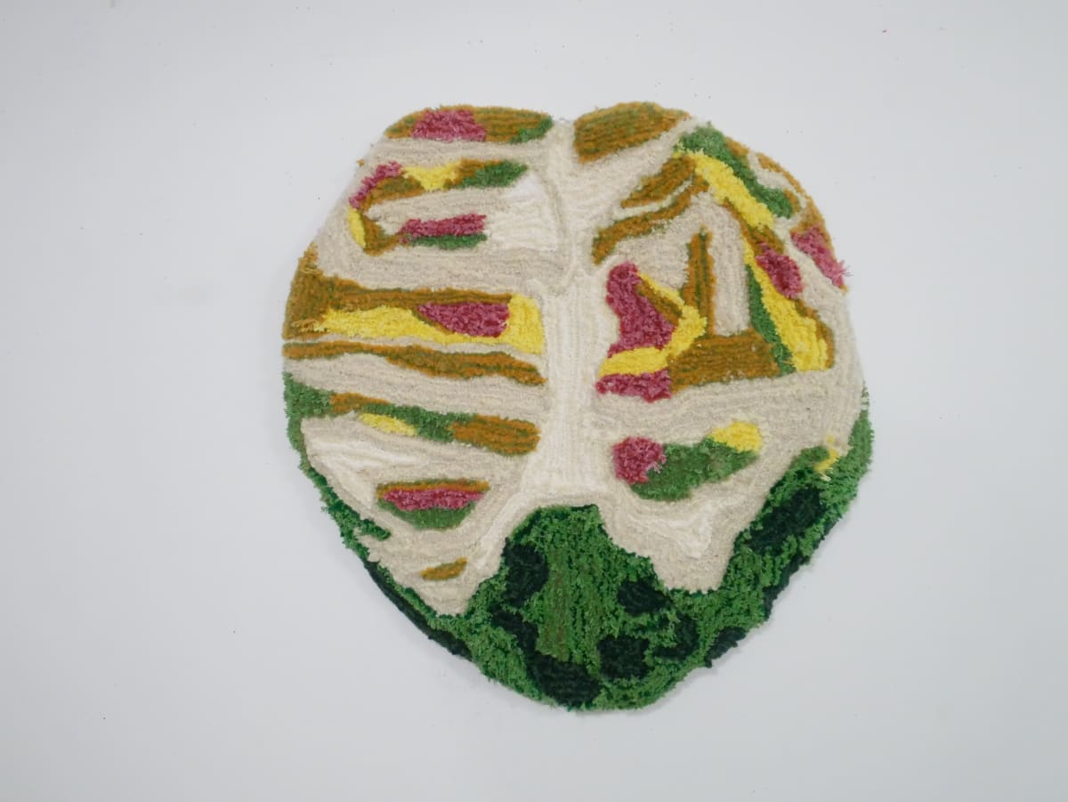 Plant Health Rug 2 by Jasmine Best 