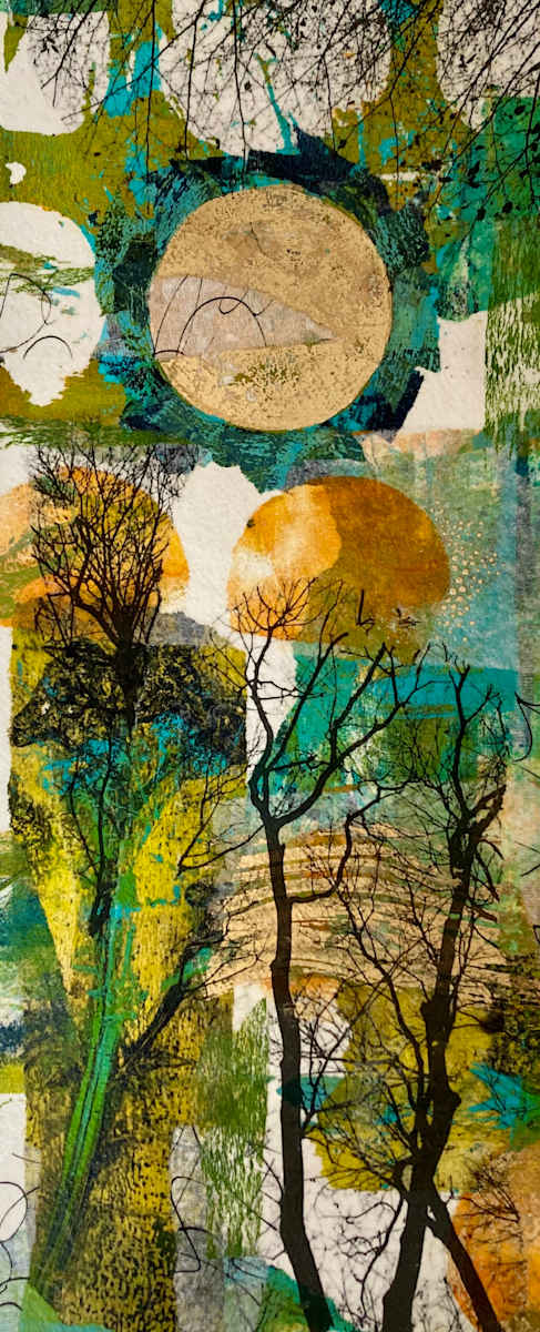Woodland Solstice by Clare Hogan 