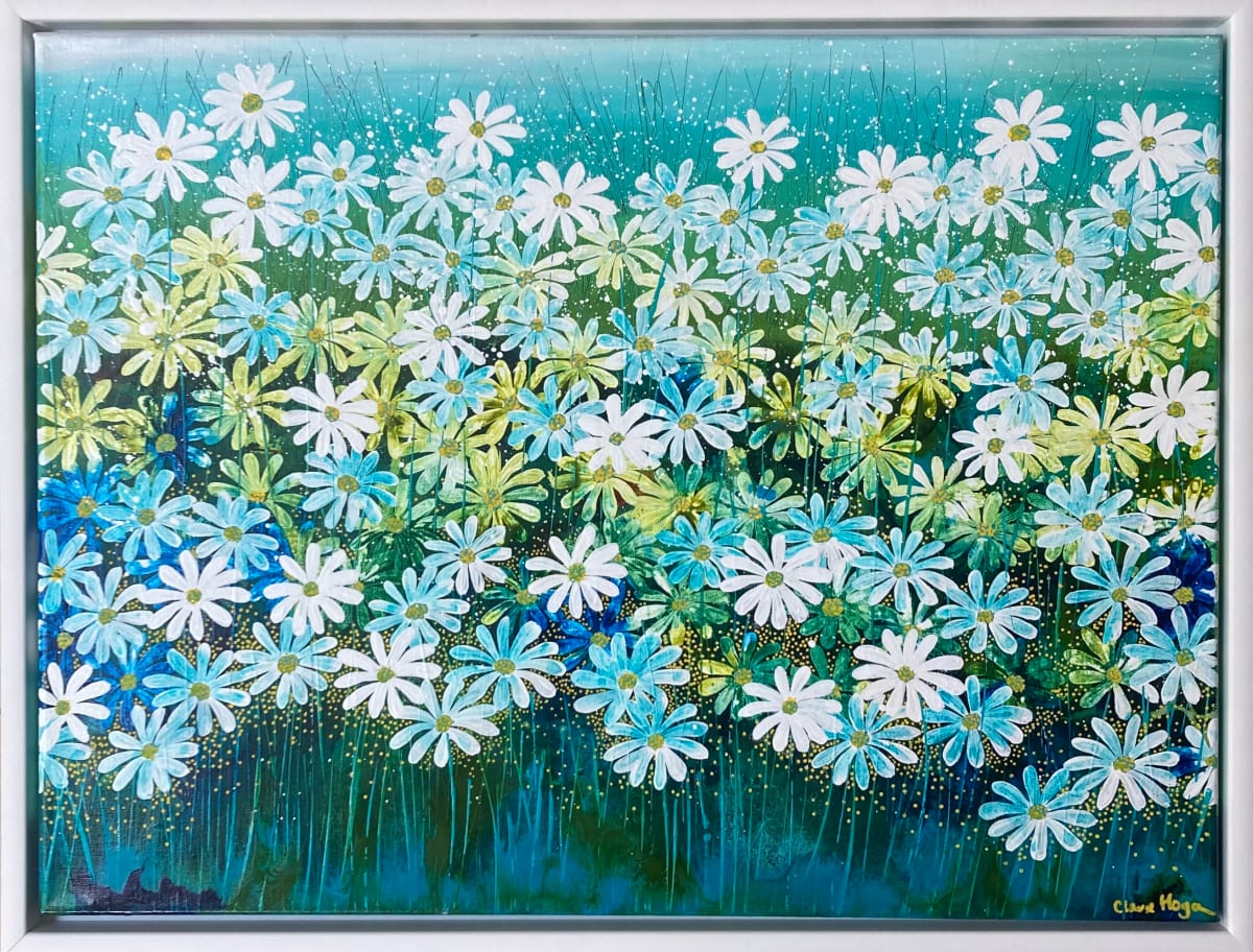 Everybody’s talking about Daisies by Clare Hogan 