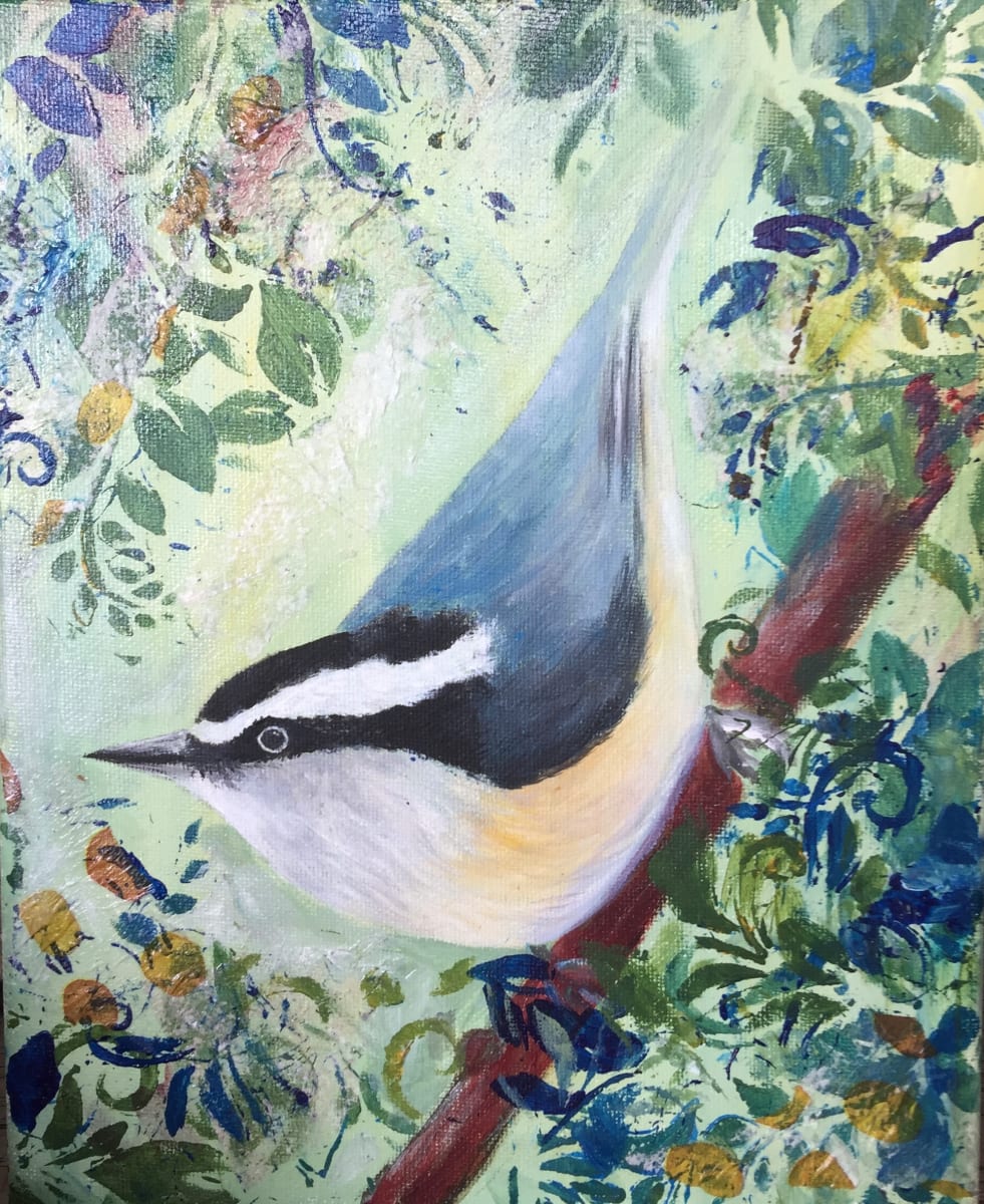 Little nuthatch 
