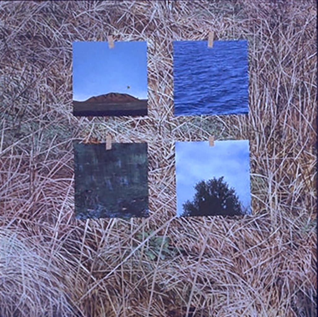 Four photos on Grass by Bruce Marsh 