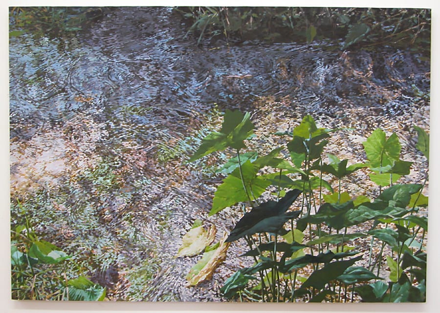 Green Spring 