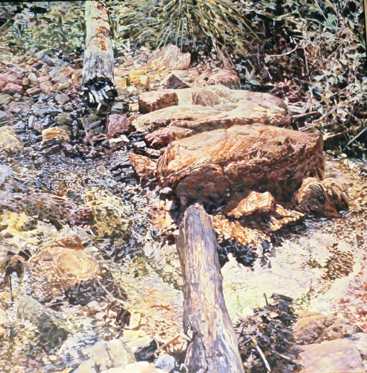 Broken Log 