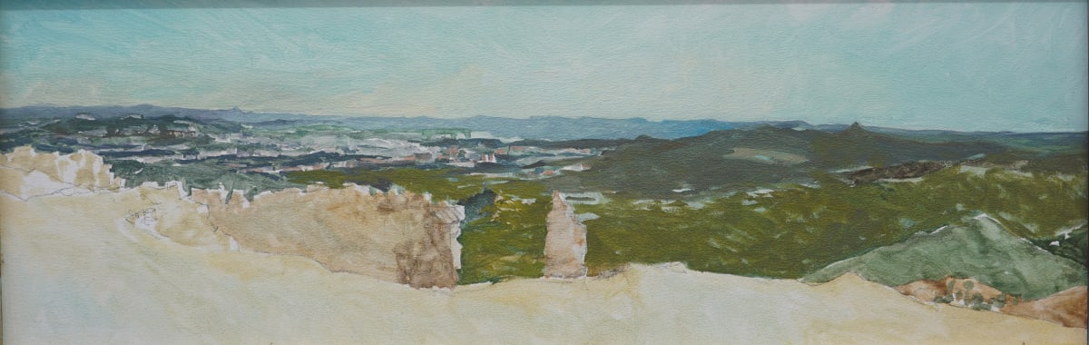 Bryce Study 