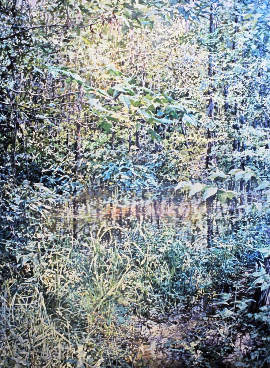 Citadel Woods  Image: One of two commissioned by an Orlando Bank.