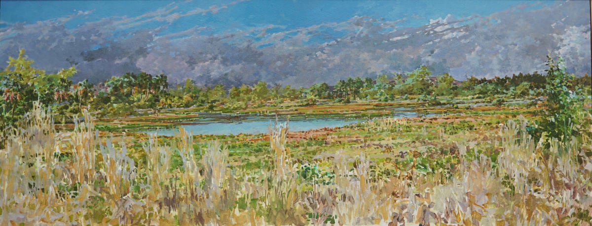 Cockroach Bay Wetlands 