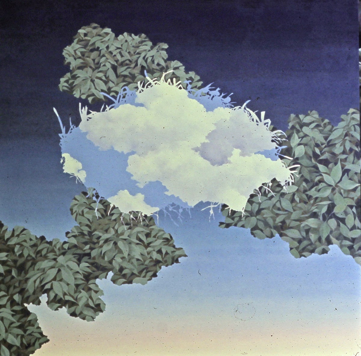 Cloud Clod Leaves 