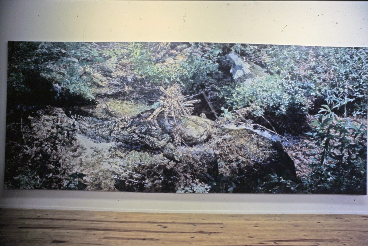 Commissioners Creek by Bruce Marsh 