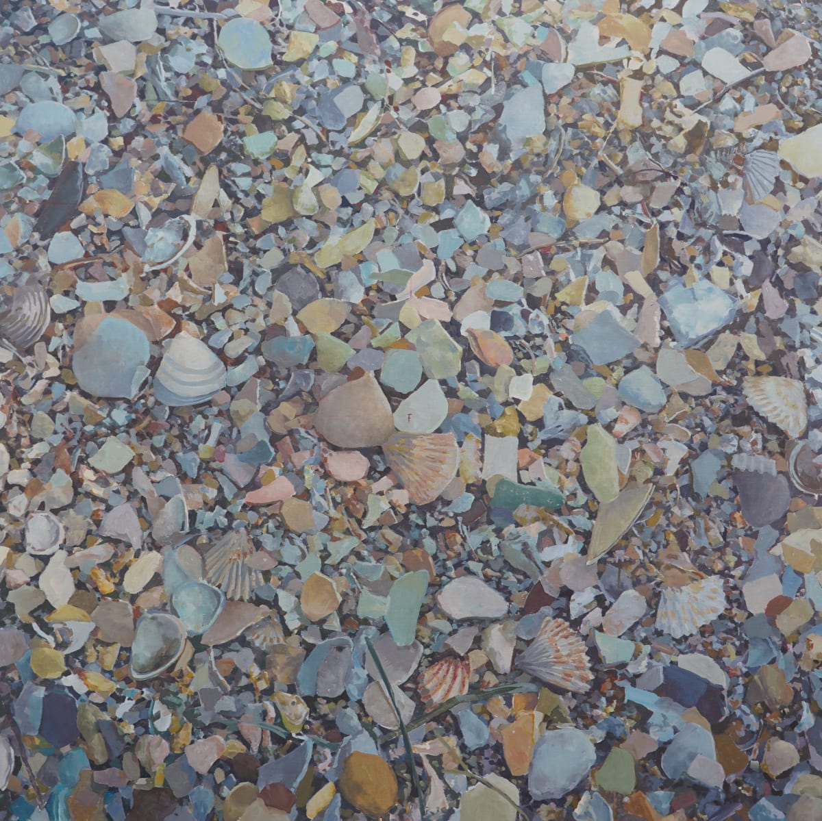 Shells II by Bruce Marsh  Image: A commissioned piece, January 10, 2022